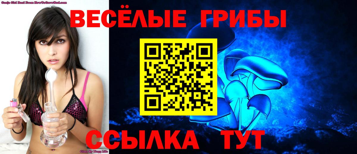 купить наркотик  Псилоцибиновые грибы Cubensis  Вход с VPN  Лабинск 
