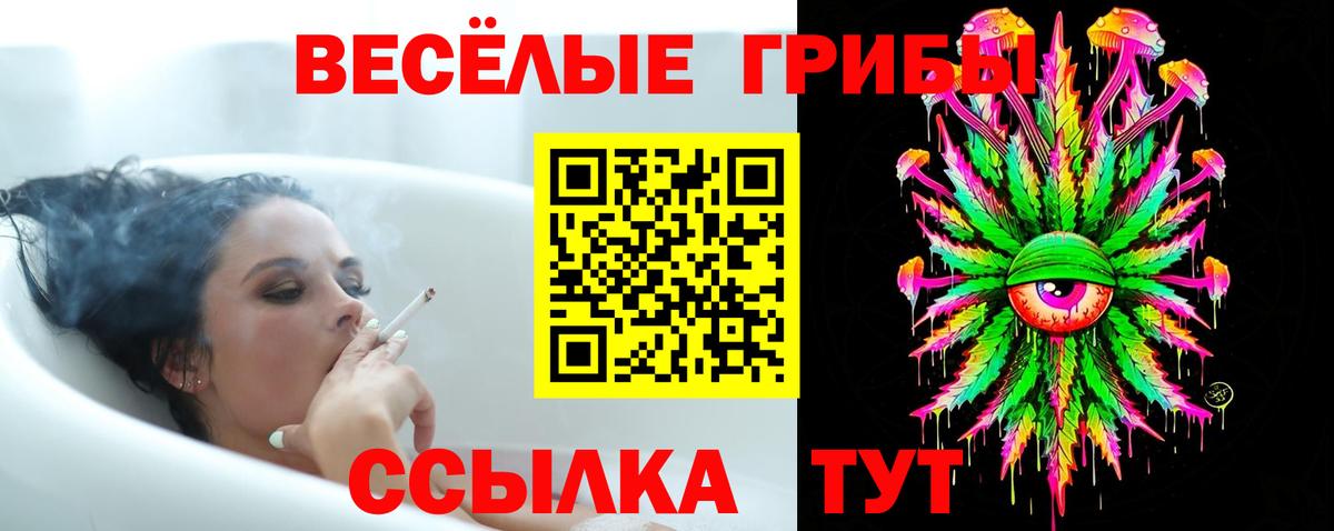 Галлюциногенные грибы Psilocybine cubensis Лабинск